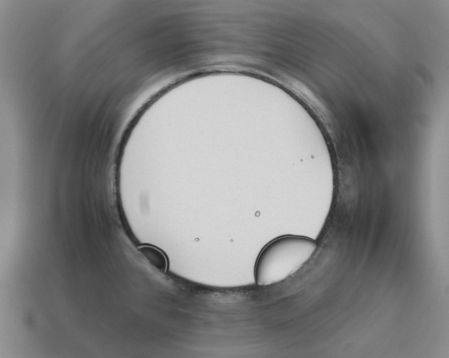 X0000114231384200911061519