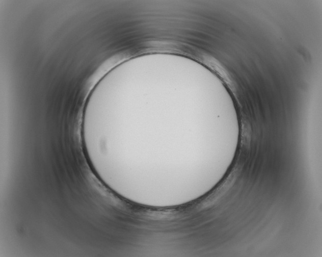 X0000114231386200911061519