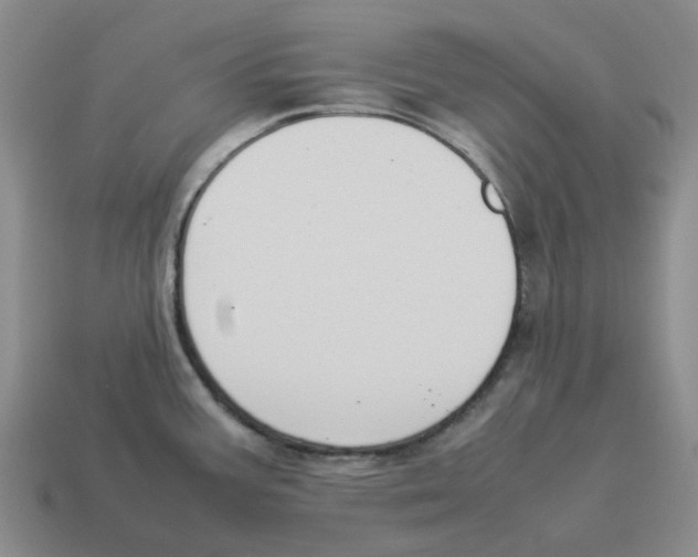 X0000114231387200911061519