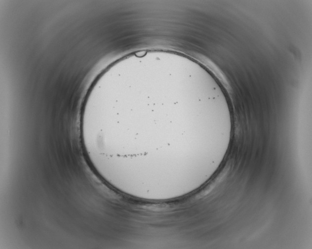 X0000114231388200911061519
