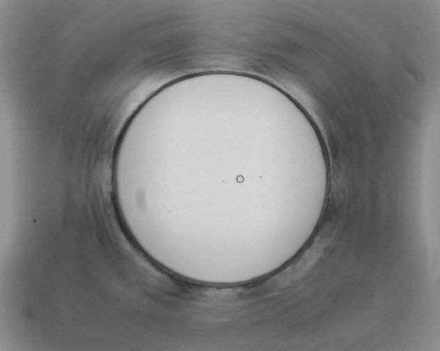 X0000114231389200911061519