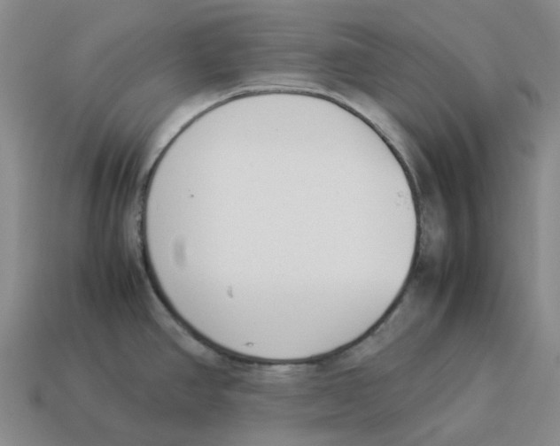 X0000114231390200911061519