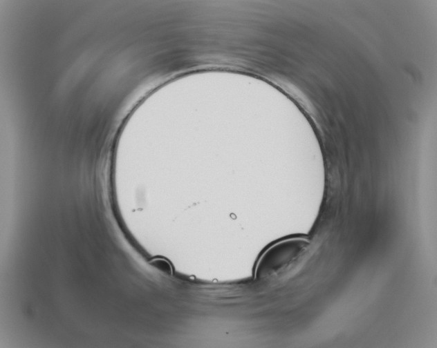 X0000114231391200911061519