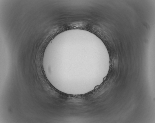 X0000114231393200911061518