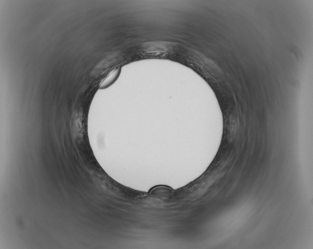 X0000114231394200911061518