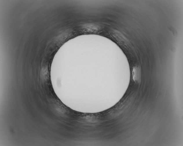 X0000114231395200911061518