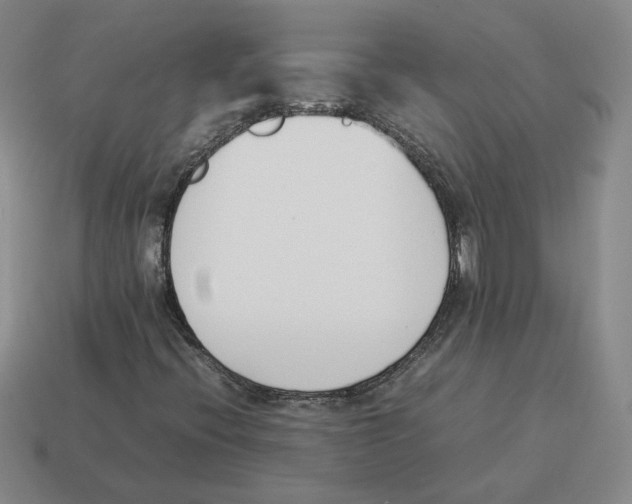 X0000114231396200911061518