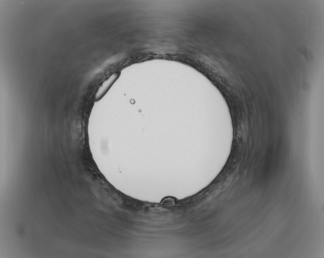 X0000114231398200911061518
