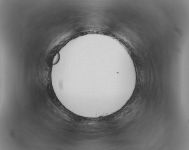 X0000114231399200911061518