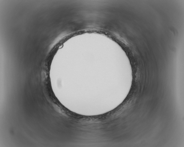 X0000114231400200911061518