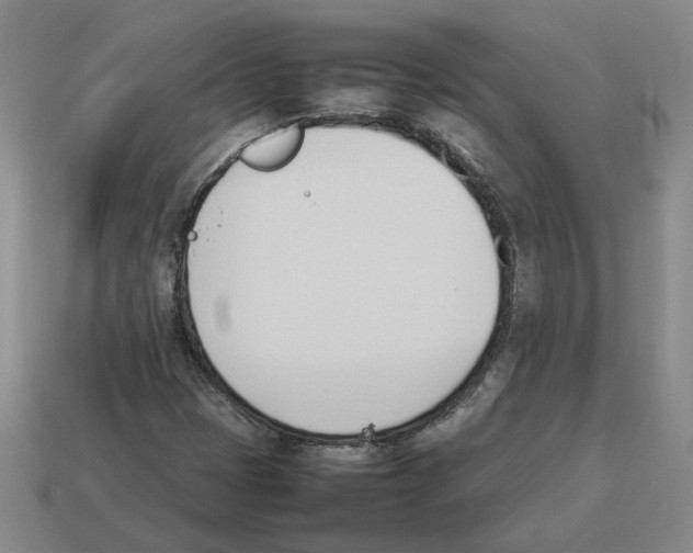 X0000114231401200911061518