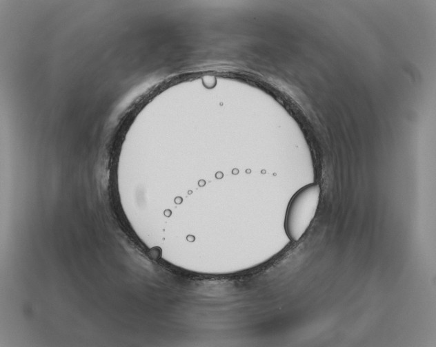 X0000114231406200911061518