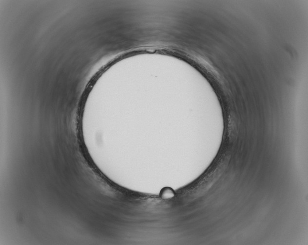 X0000114231412200911061519