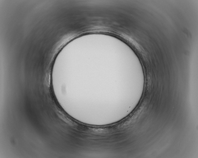 X0000114231413200911061519
