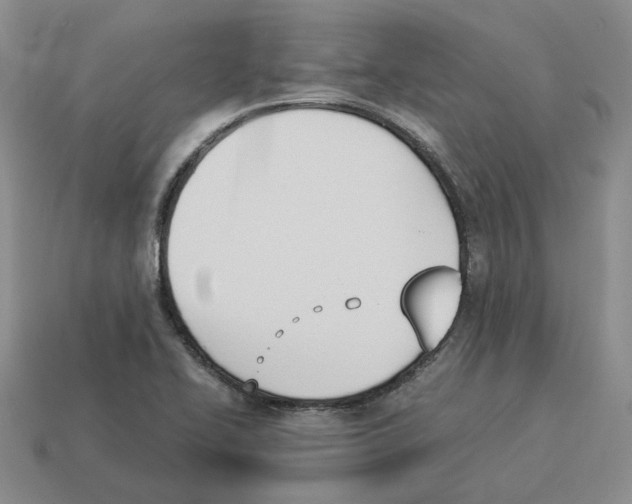 X0000114231414200911061519