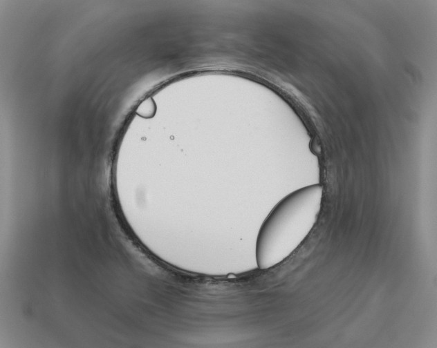 X0000114231416200911061519