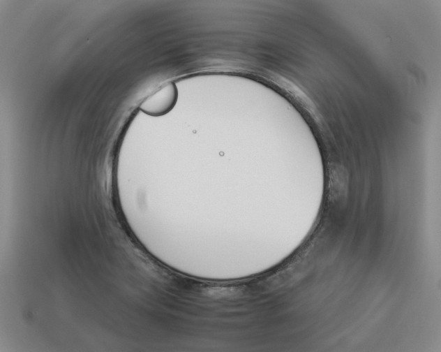 X0000114231419200911061519