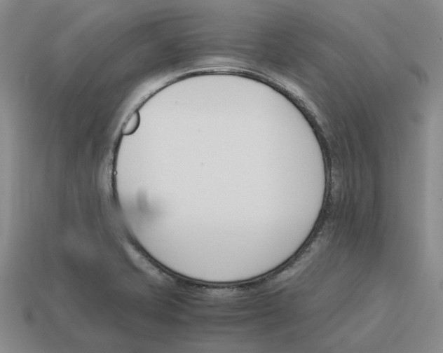 X0000114231421200911061519