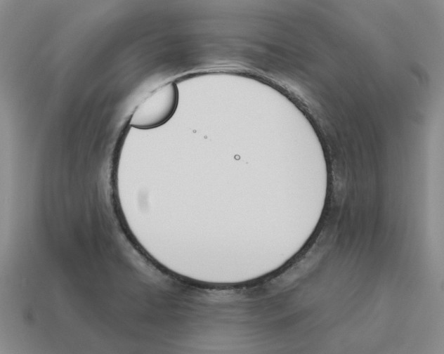 X0000114231422200911061519