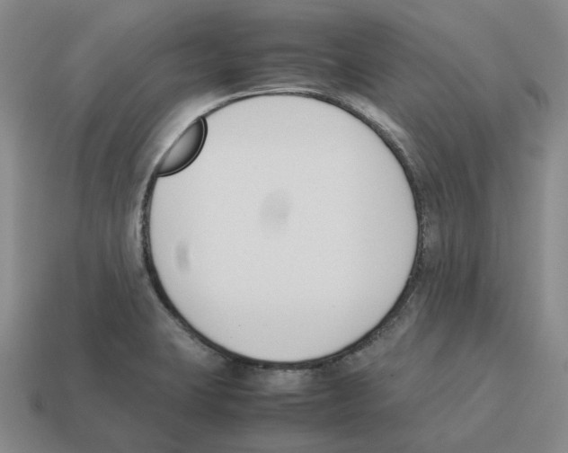 X0000114231423200911061519