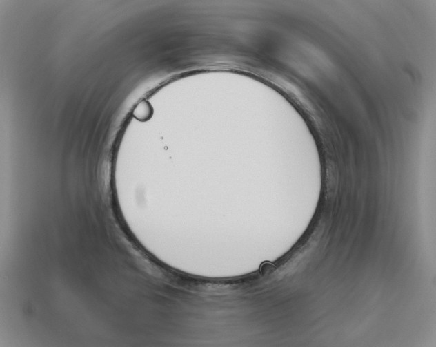 X0000114231424200911061519