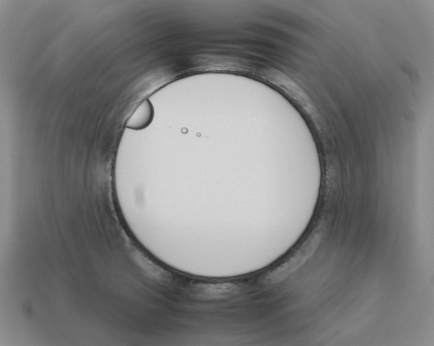X0000114231425200911061519