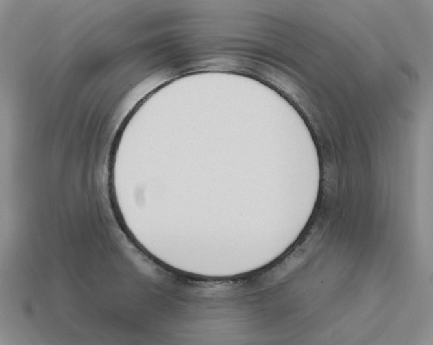 X0000114231426200911061519