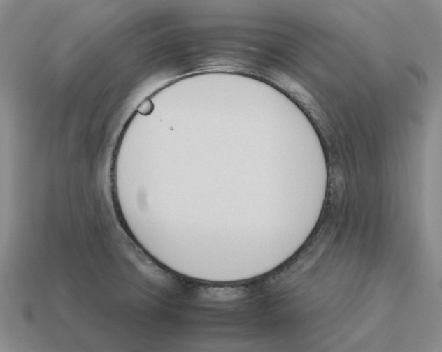X0000114231427200911061519