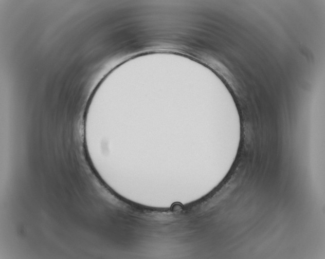 X0000114231428200911061519