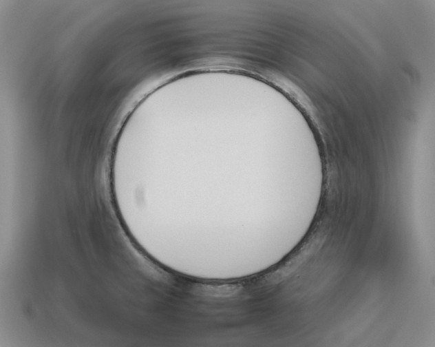 X0000114231429200911061519