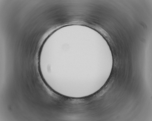 X0000114231430200911061519