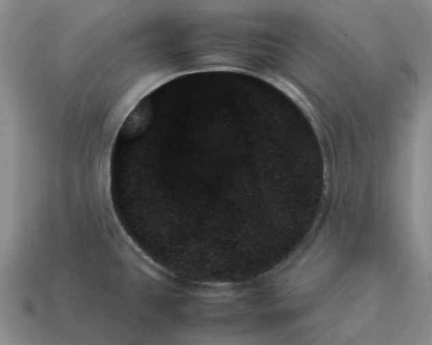 X0000114231431200911061519