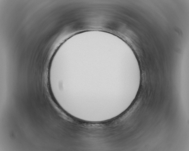 X0000114231432200911061519