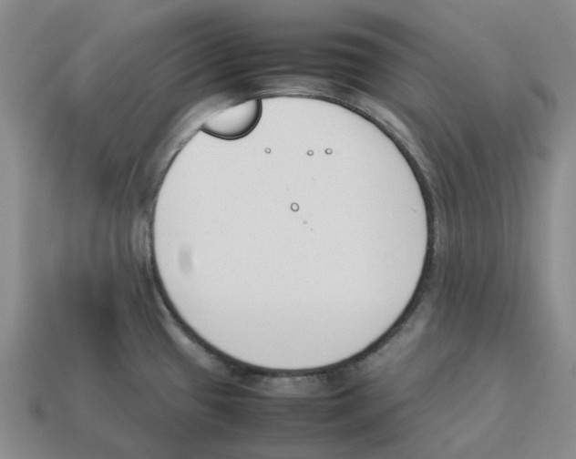 X0000114231433200911061519