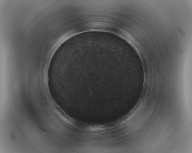 X0000114231435200911061519