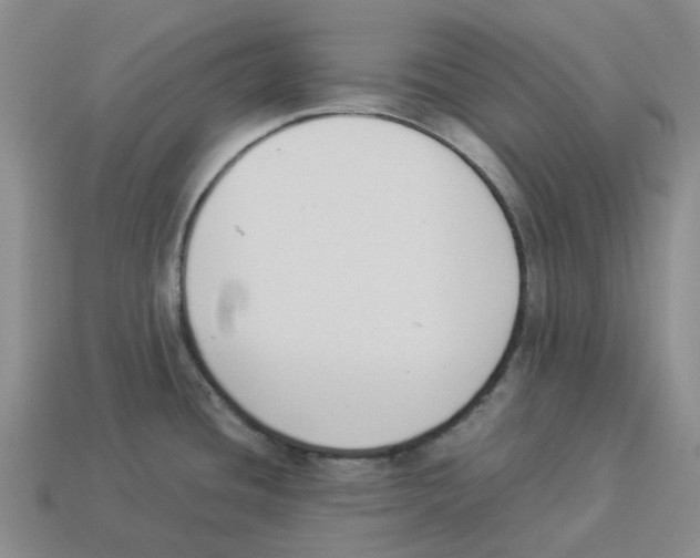 X0000114231436200911061519