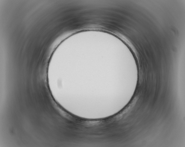 X0000114231437200911061519