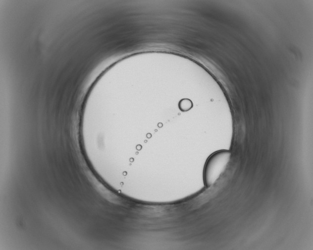 X0000114231438200911061519