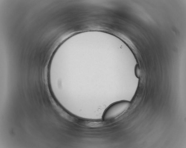 X0000114231439200911061519