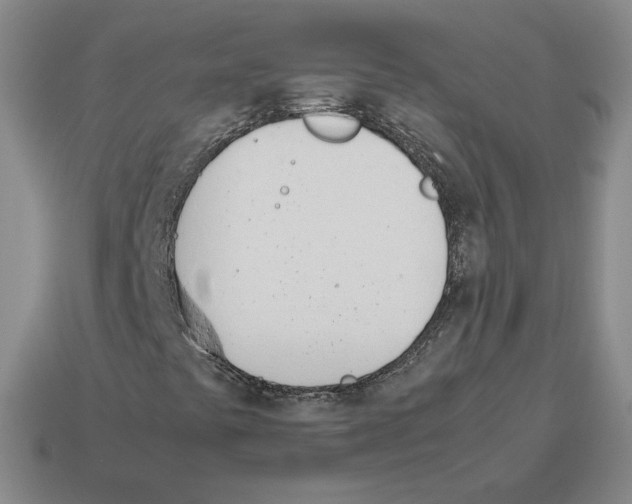 X0000114231441200911061518