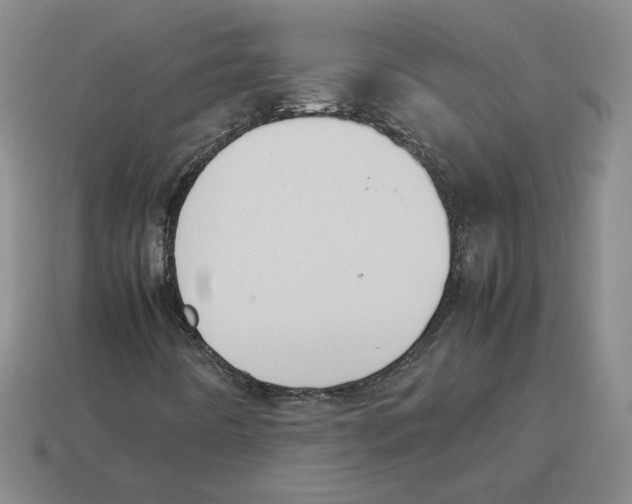 X0000114231442200911061518