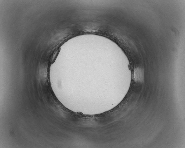X0000114231444200911061518