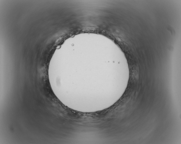 X0000114231445200911061518