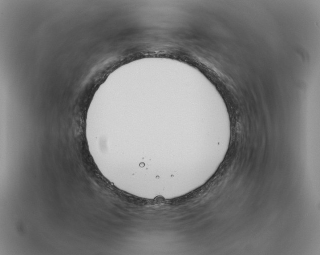 X0000114231447200911061518
