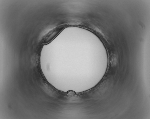 X0000114231448200911061518