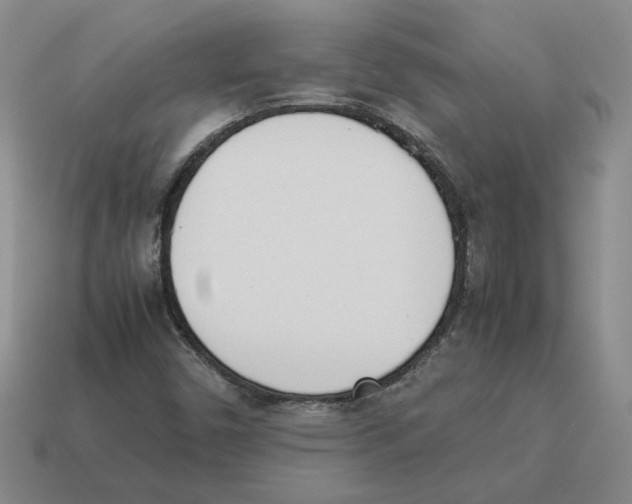 X0000114231450200911061518