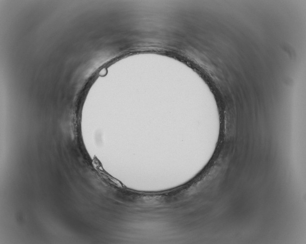 X0000114231453200911061518