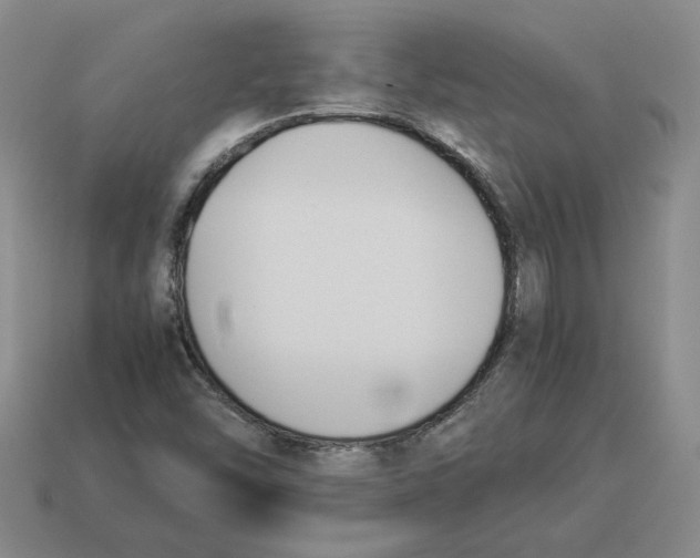 X0000114231454200911061518