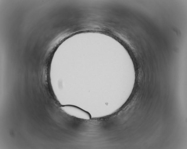 X0000114231455200911061518