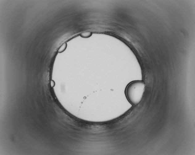X0000114231459200911061518